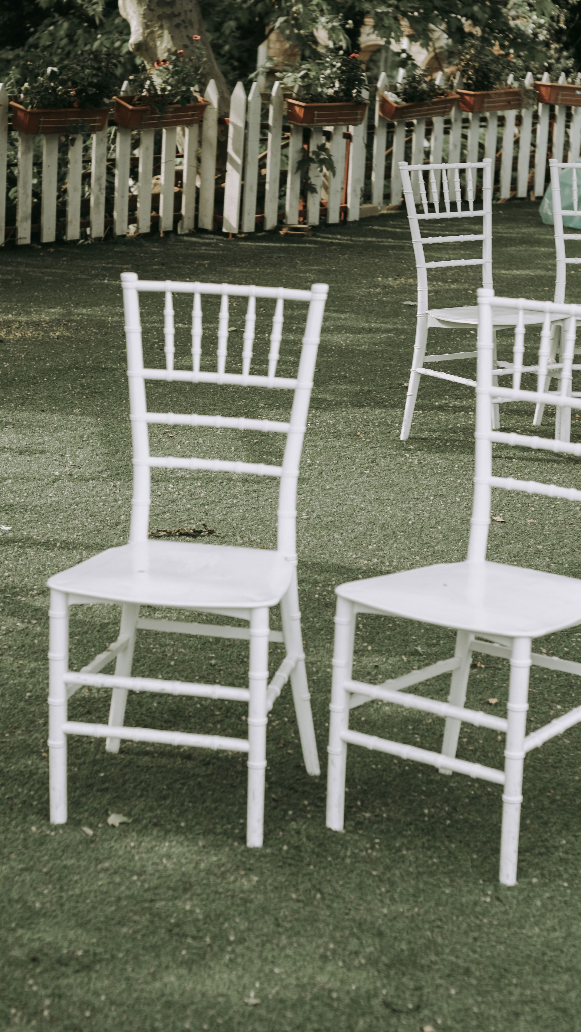 White Chiavari chairs arranged on a manicured lawn, perfect for outdoor events.
